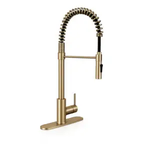Kitchen Pull-Down Faucet 804 Gold