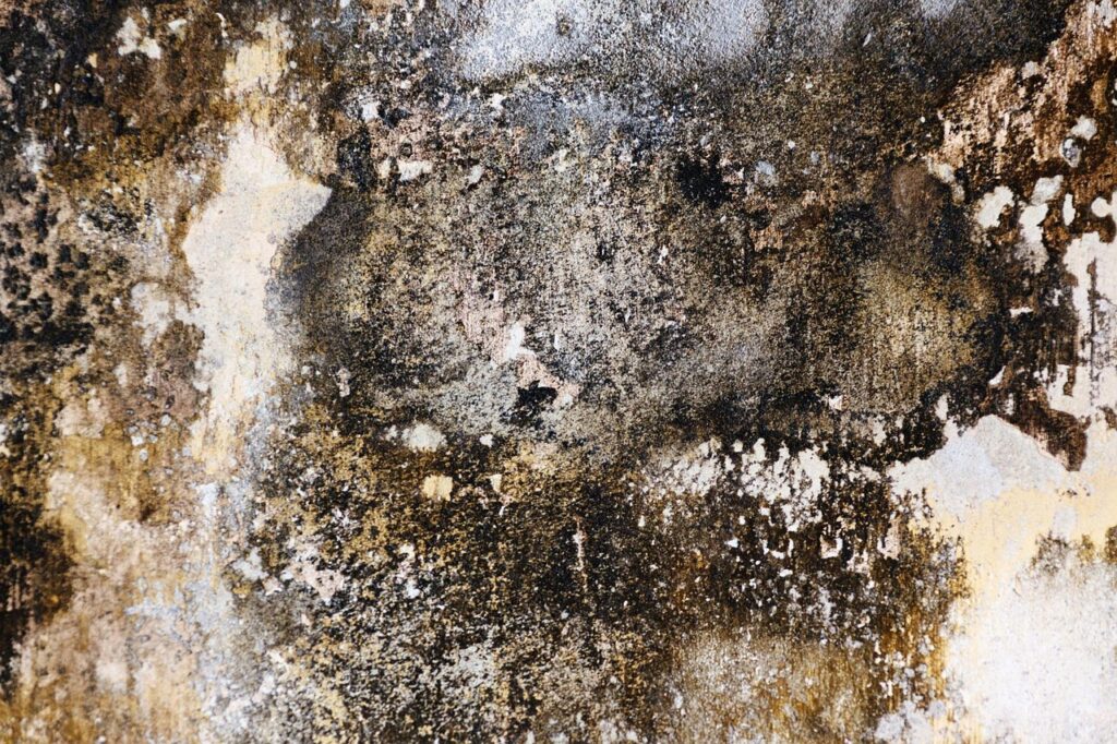 Damp wall with moisture, stock photo for illustration