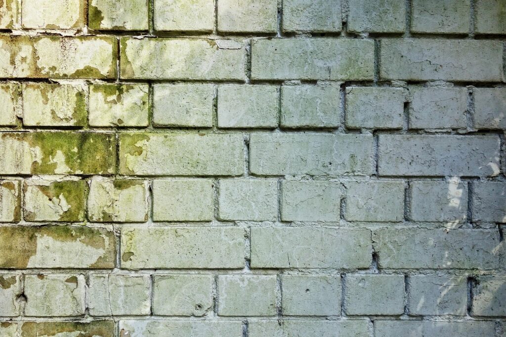 Mould on a wall, stock photo for illustration